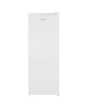 ASPES ARCA VERTICAL 1PT 1455X540X595MT 188LT BRANCA F - ACV244 ASPES ARCA VERTICAL 1PT 1455X540X595MT 188LT BRANCA F - ACV244